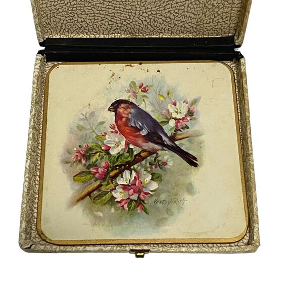 Vintage WIN-EL-WARE 6 Coasters 6" x 6" with Box - Artist Vestey Rich BIRDS - Picture 8 of 14